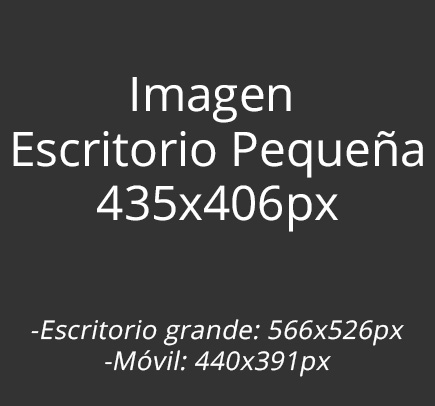 Servisios Main